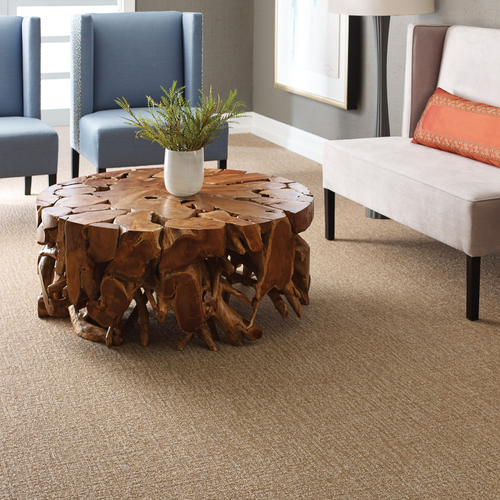 American-Flooring-Lansing-Carpet-Gallery-23