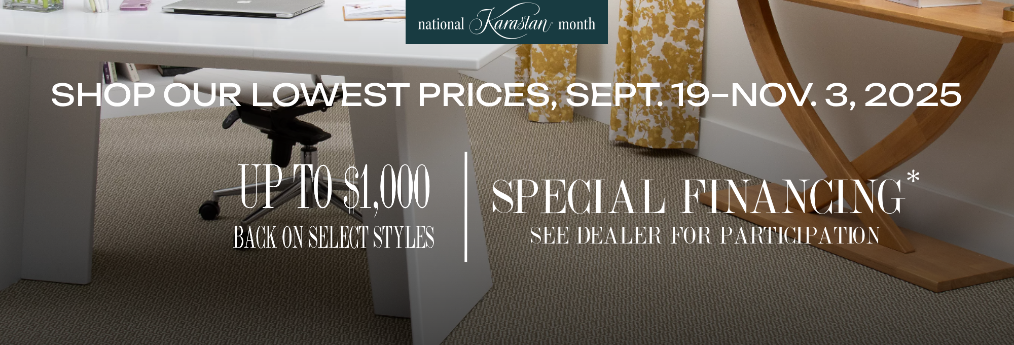 National-Karastan-Month-Hero-Banner-American-Flooring-800x522- Click for more details