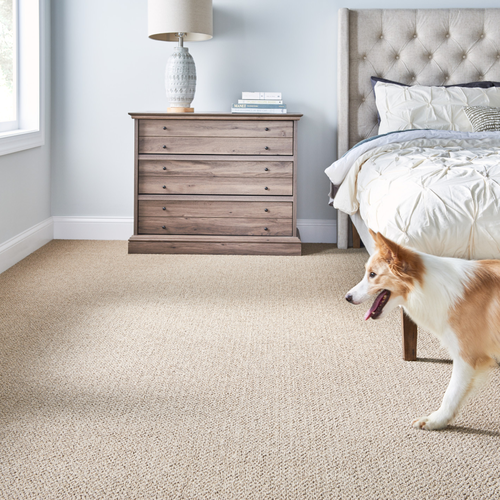 American-Flooring-Lansing-Carpet-Gallery-19